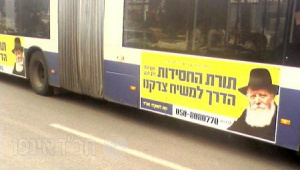 קמפיין האוטובוסים.jpg