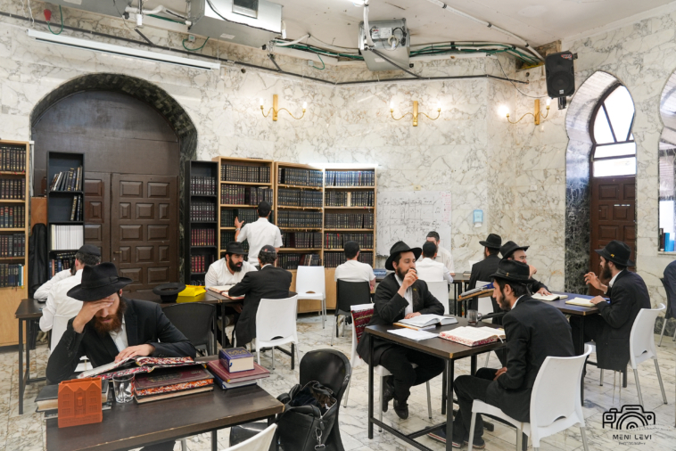 קובץ:תותל רוממה.jpg