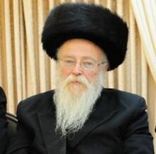 בנימין זאב סגל.jpg