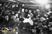 פורים תשיג.jpg