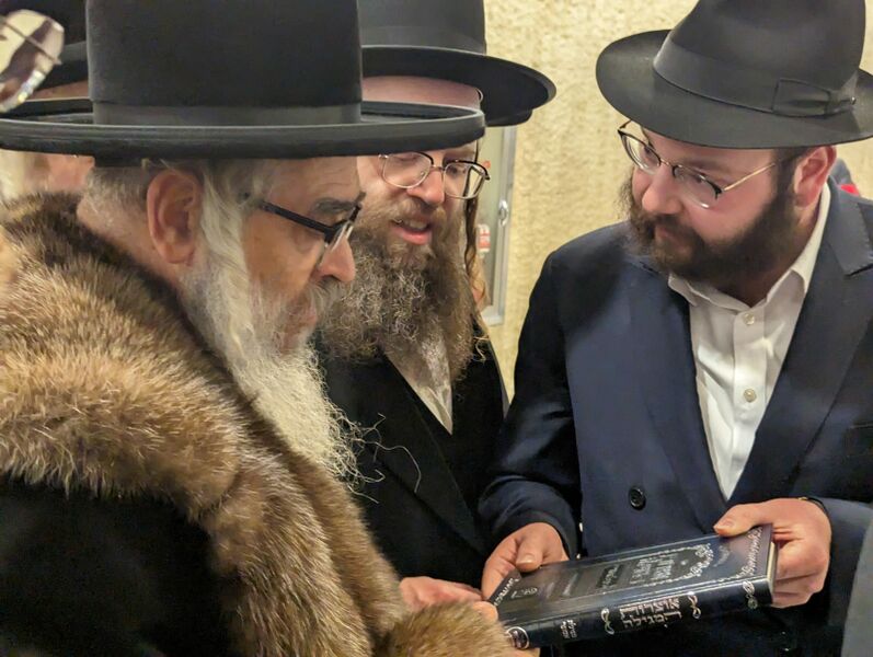 קובץ:בוטלר סאטמר.jpeg