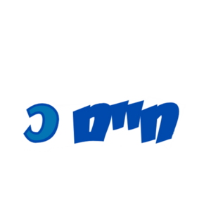 תמונה 9.png