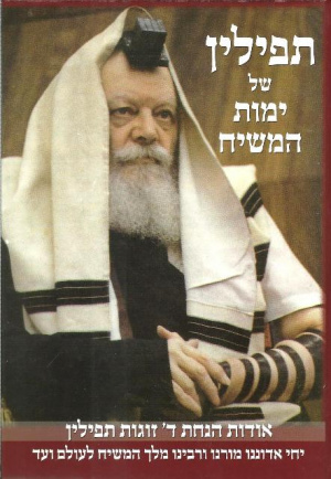 תפימוהמ.jpg