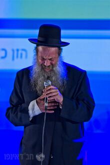 שולי רנד - פנים.jpg