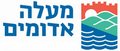 תמונה ממוזערת לגרסה מ־13:38, 12 בספטמבר 2025