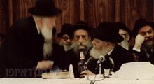 הרבי נותן משקה לרש''ג' ברקע פרץ מוצ'קין.jpg