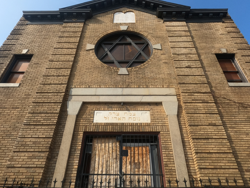 קובץ:צמח צדק בבולטימור.png