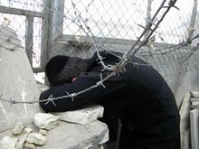 6d76qjn4 w640h480q70.jpg