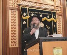 הרב מאיר ווילשאנסקי.jpg