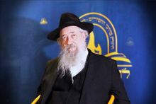 הרב דוב טברדוביץ לחלוחית.jpeg