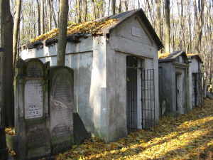 Burial from rabbi shmuel mslonim.jpg