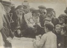 פוטו דנוביקוב.jpg