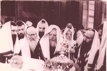 ליברוב סעדיה.jpg