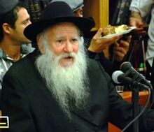 הרב שפרינגער.jpg