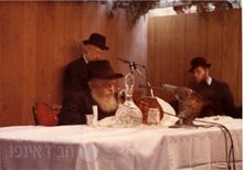 הרבי בסוכה.jpg