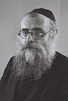 -Yitzhak Meir Levin.jpg
