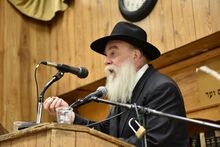 צבי טלזנר.jpg