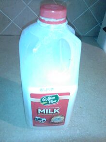 חלב.JPG