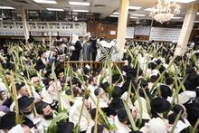 הושענות עח.jpg